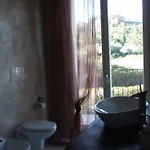 Papavero